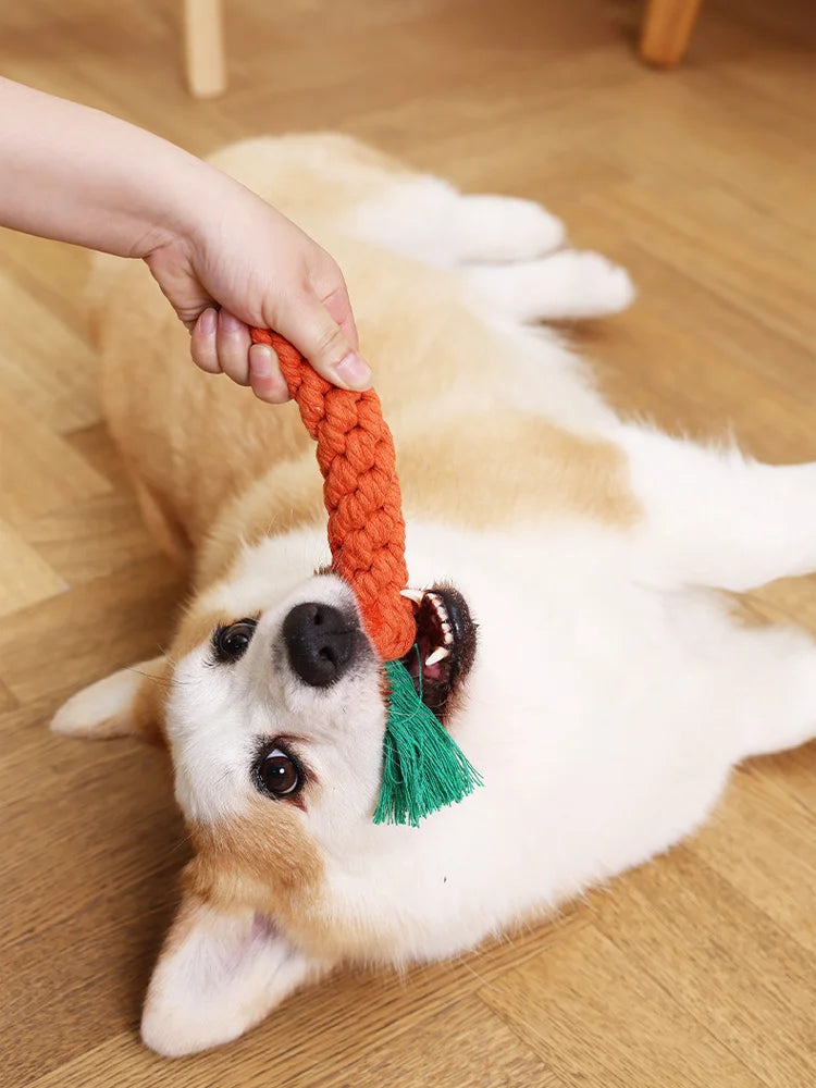 🥕 Carrot Rope Chew Toy