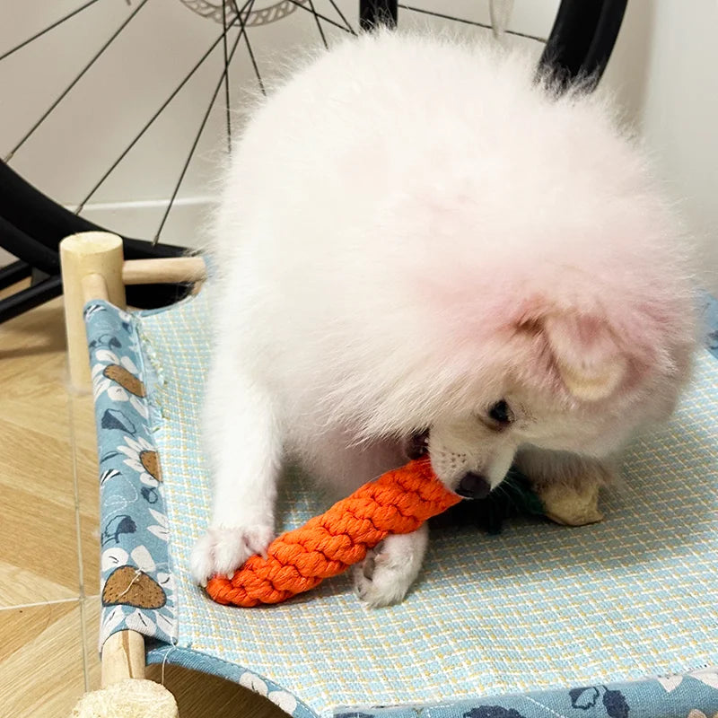 🥕 Carrot Rope Chew Toy